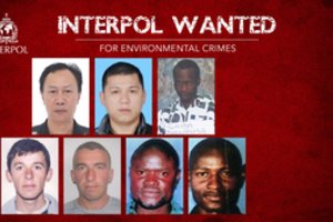 Interpolas paskelbė ieškantis septynių asmenų, įtariamų „aplinkosaugos nusikaltimais“