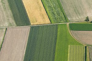 Pakeistos ekologinės žemės ūkio taisyklės