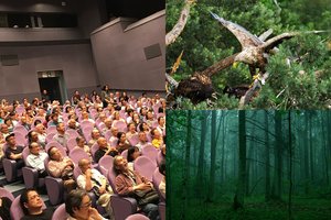 Japonijoje lietuviškos gamtos dokumentikos klasika tapusi „Sengirė“ pritraukė pilnas sales žmonių