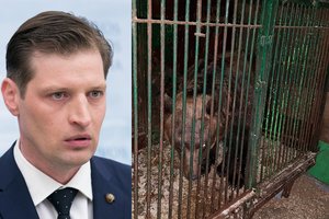 Dėl dingusios N. Zobovo meškos aplinkos ministras pradeda tyrimą