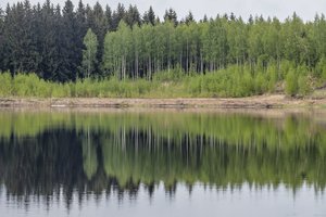 Draugų bandymas perplaukti tvenkinį Alytuje virto tragedija