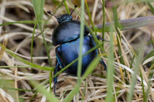 Daugiausia apleistos žemės – Vilniaus ir Molėtų rajonuose