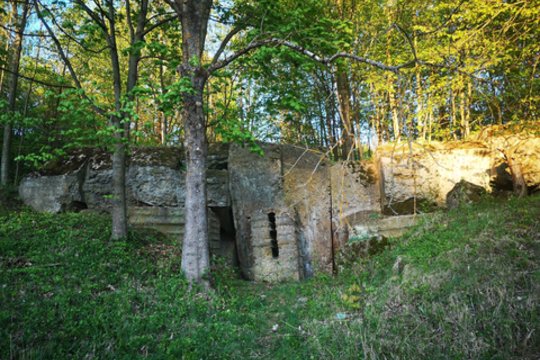 Paslaptys gamtoje: ar žinote, kur prie Kauno marių stūkso kariniai įtvirtinimai?