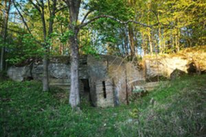 Paslaptys gamtoje: ar žinote, kur prie Kauno marių stūkso kariniai įtvirtinimai?