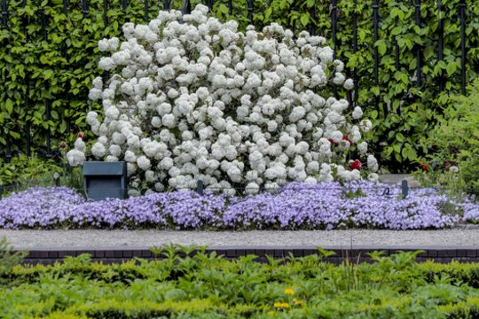 Sodininkas neturi sėdėti rankų sudėjęs, nors ir prasidėjo vasara