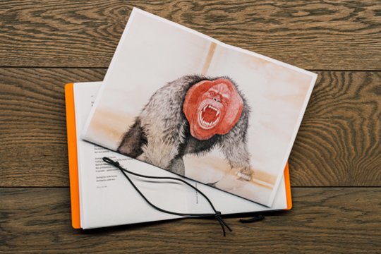 Poezijos mylėtojams – speciali MO muziejaus steigėjos Danguolės Butkienės inicijuota knyga