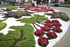 Patinka ukrainiečiams ir turistams – papuoštų ir Kauno erdves