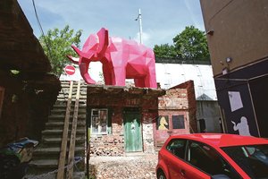 Ant stogų užkelia net dramblius