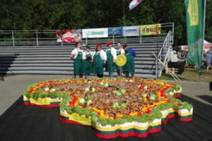 Nepatikėsite, iš ko sudėliojo Lietuvą: kūrinį kirto pasigardžiuodami