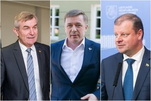 R. Karbauskis apie V. Pranckiečio pareiškimus dėl įtakos S. Skverneliui: „Visiška nesąmonė“