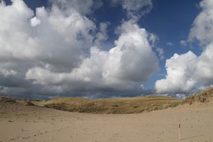 Neringa žada įsileisti statytojus, bet šie gerais ketinimais abejoja