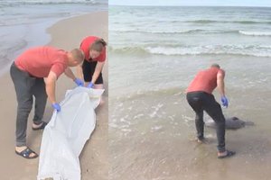 Baltijos jūra į krantą vieną po kito meta nemalonius radinius: gelbėtojai jų net neliečia