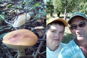 Kėdainių miškuose pora aptiko šaunų grybų laimikį