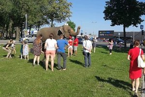 Reginys cirke įsiutino lankytojus: tai gyvūnų kankinimas, o ne pramoga