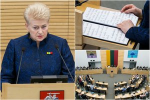 D. Grybauskaitė – apie politinį chamizmą, bizūnus ir kritikai nepakančios valdžios apynasrį