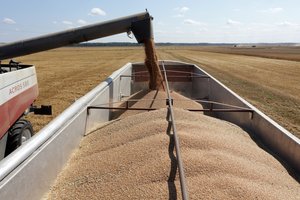 Prognozė: dėl susitarimo su Kinija produktų eksportas išaugs penkis kartus