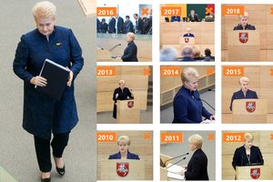 Skaičių magija metiniuose D. Grybauskaitės pranešimuose: kam skyrė daugiausia dėmesio? 