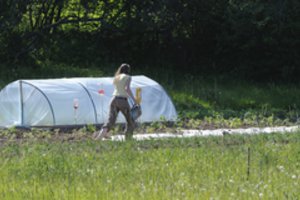 Vandens tiekėjai sunerimę: jo suvartojimas išaugo keliasdešimt kartų