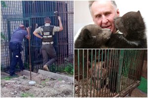 Su meška voljere užsibarikadavęs N. Zobovas pasidavė