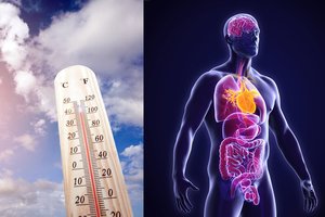 Požymiai, kad žmogų galėjo ištikti šilumos smūgis: ką daryti?