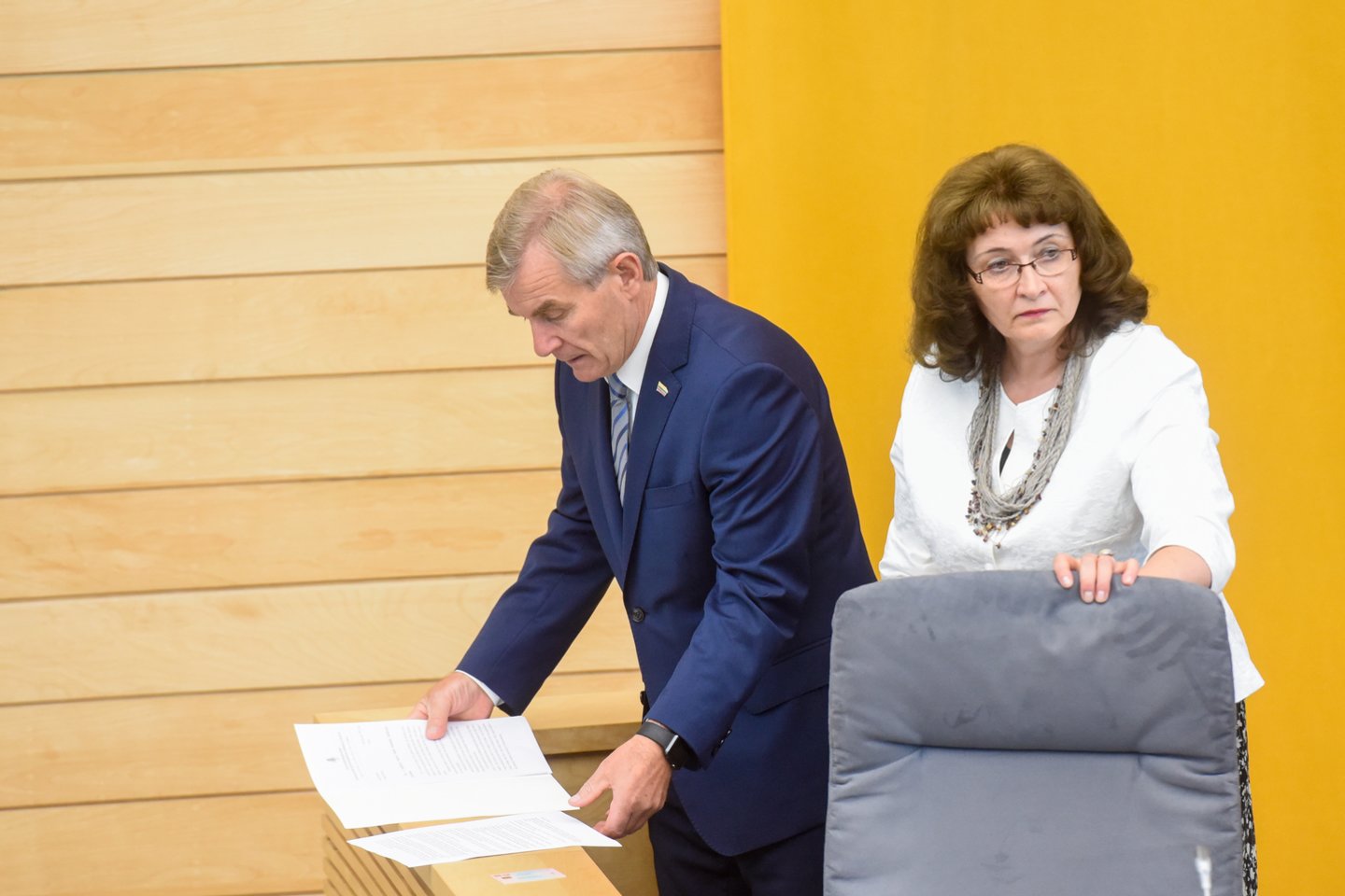 R. Baškienė, būdama V. Pranckiečio vietoje, trauktųsi iš Seimo pirmininko pareigų.<br>D.Umbraso nuotr.