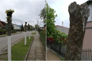 Tauragiškis: „Tai kas vyksta mūsų mieste, sunku žodžiais nusakyti“