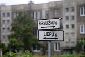 Tai tiesa: šiame Lietuvos kaime nėra bedarbių, tik žmonės su plačiais užmojais