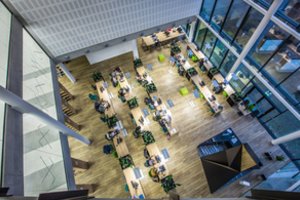 Didesniu tapęs VDU būsimuosius studentus pasitinka naujovėmis