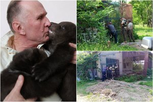 Po dramų ir barikadų N. Zobovo meška išgabenta į Lietuvos zoologijos sodą