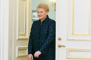 Priimtos D. Grybauskaitės inicijuotos įstatymų pataisos mažins verslo piktnaudžiavimą