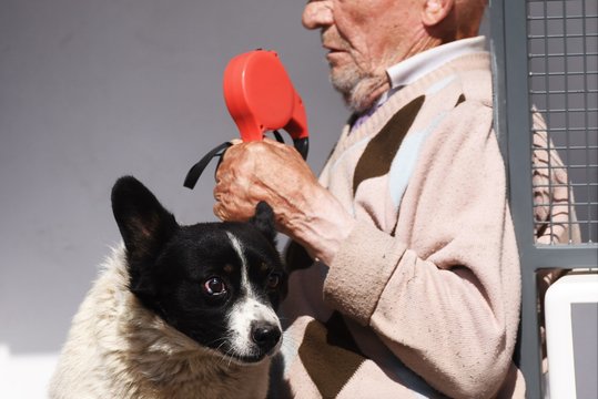 Agresyvus ir netradicinės orientacijos šuo terorizavo linkuviškę