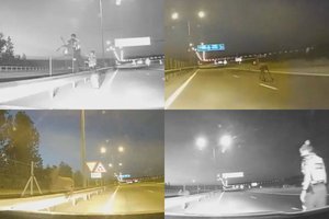 Šiaulių policijos vaizdo įraše – dramatiška briedžio jauniklio gelbėjimo operacija