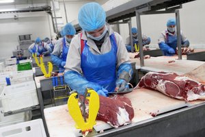 Kinijos ekspertai atliko auditą – įvertino eksportuotojus