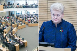 Ledynmečiu dvelkianti D. Grybauskaitės valdymo era: tauta gyvo žmogaus neišvydo