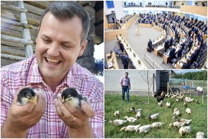 Ūkį įsigijęs G. Paluckas pravėrė vartus: vištų ir ančių gyvenime – daug politikos