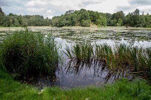 Tvenkinyje Prienų rajone nuskendo Nigerijos pilietis