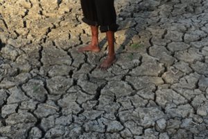 Alinantys karščiai Indijoje nusinešė dešimtis gyvybių, į ligonines plūsta pusiau sąmoningi pacientai