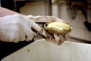 Šalnoms ir sausrai nualinus derlių, išdavė, kur ieškoti pigiausių bulvių