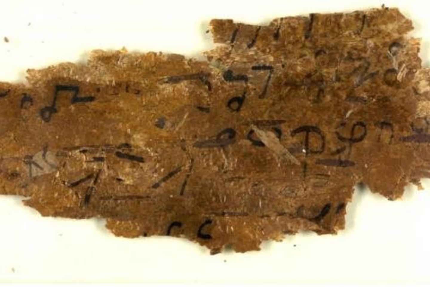  Seniausi kada nors rasti budistų raštai surašyti ant beržo žievės.<br> British Library nuotr.