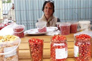 Nuo žemuogių kainos akys ant kaktos iššoka – pakelėje prašė neįtikėtinos sumos