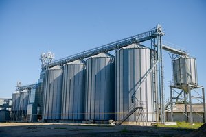 Prieš naują grūdų derlių – kova su kenkėjais sandėliuose