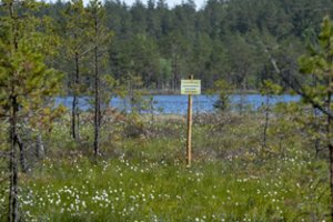 Auditas: teritorijų planavimas – vėžlio žingsniu