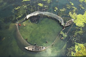 Bangladeše merdėjančiose upėse žvejai graibo leisgyvį laimikį