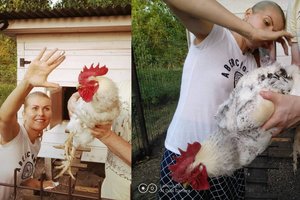 Vištas auginanti Rūta Mikelkevičiūtė susidūrė su netikėta problema