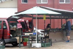 Daržovių ir uogų kainos smigo žemyn, priežastį galima numanyti 