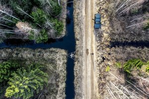 Tvarką Lietuvos miškuose bandoma įvesti buldozeriu