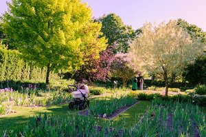 Šiauliečių sukurtas retų augalų sodas užburia kerinčiu grožiu