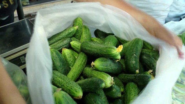 Grėsmingas ūkininkų perspėjimas: netrukus lietuviškas daržoves pirksime brangiau
