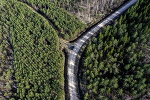 Beveik tūkstantis žmonių mieste turėtą žemę iškeitė į mišką