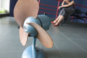  Nuo karščio bangos iki „vėjo ligos“ – tik vienas žingsnis